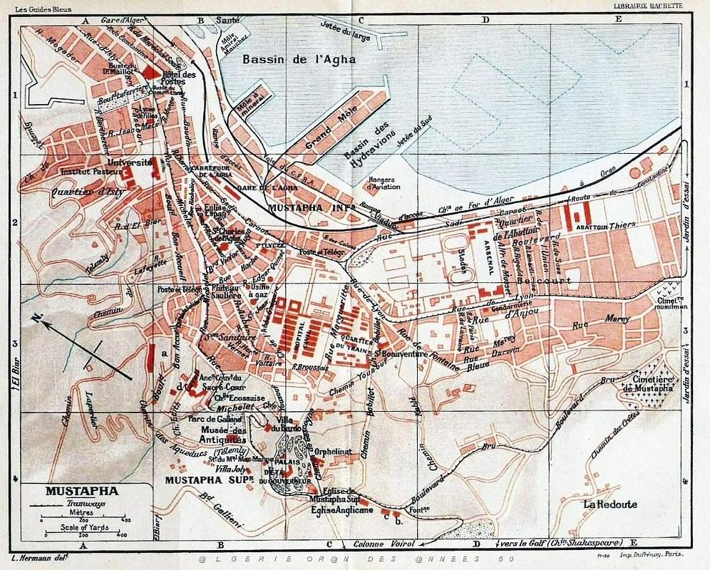 Plan alger  Mustapha.jpg